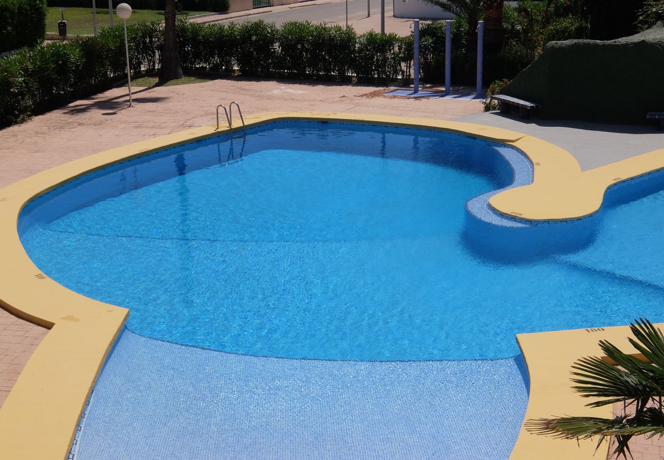 Apartamento en Oliva - MEDIA LUNA E - 1º - 10