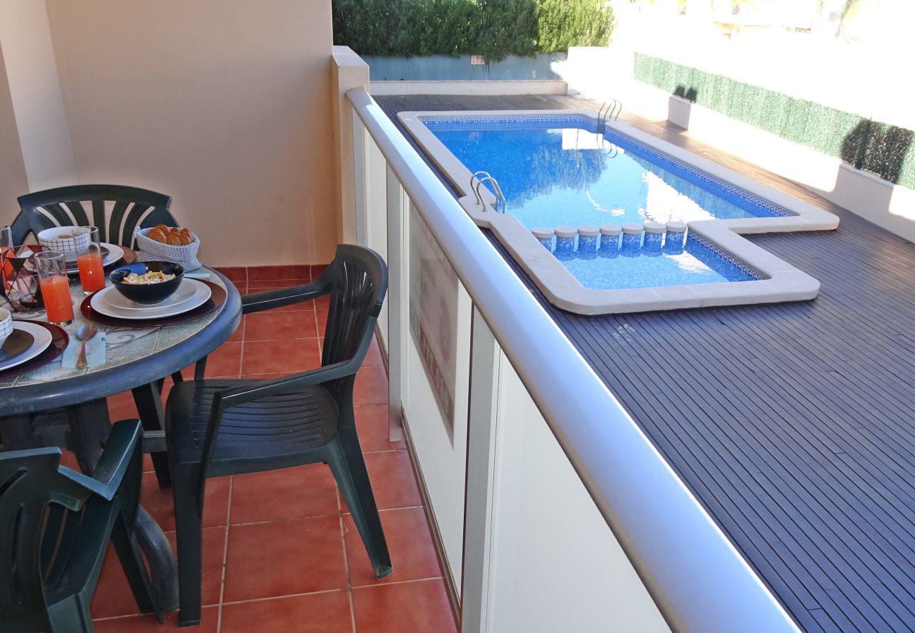 Apartamento en Oliva - PALACE III - Nº 6 Apartamento en Oliva - PALACE III - Nº 6