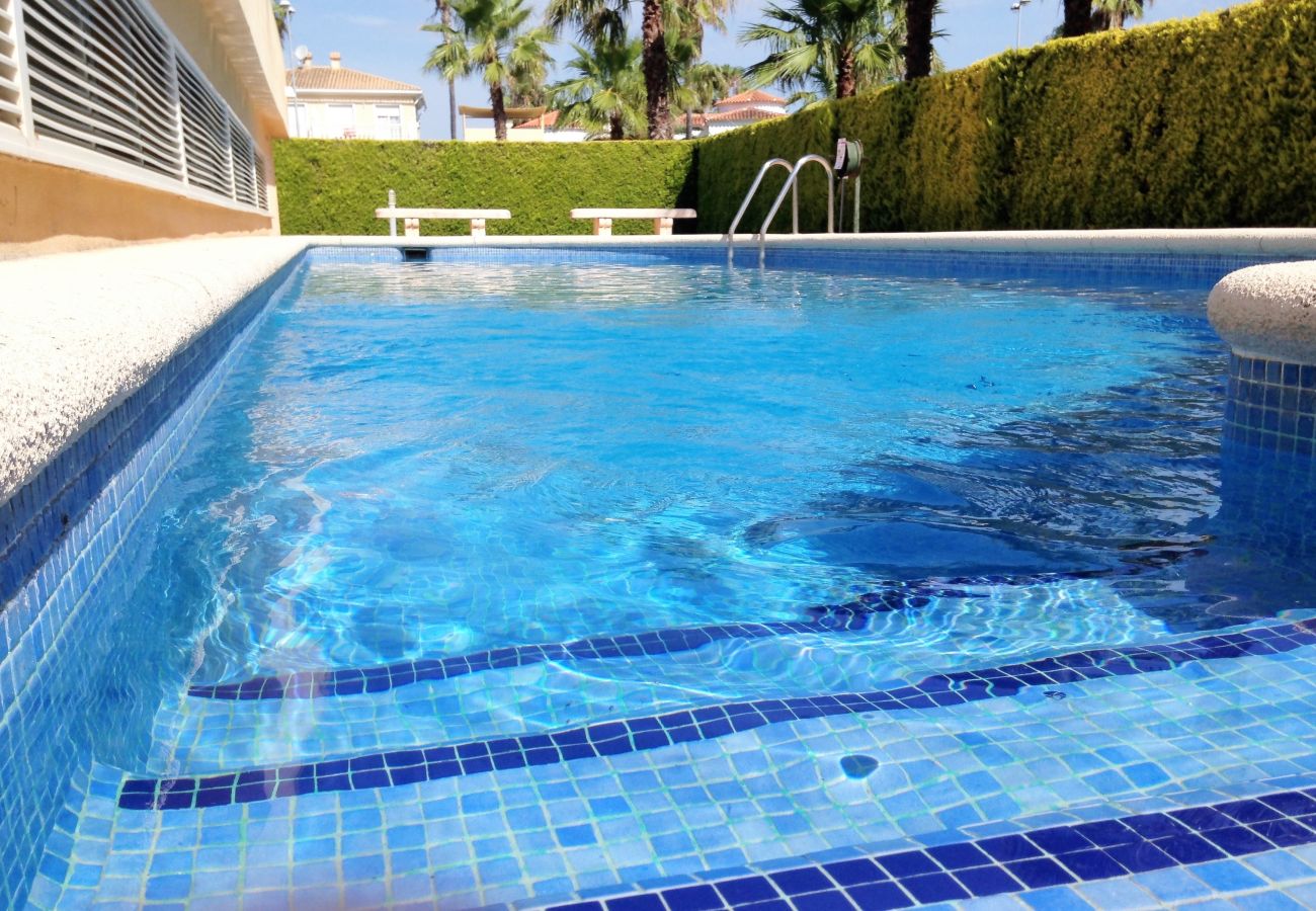 Apartamento en Oliva - PAR 3 - Nº 1