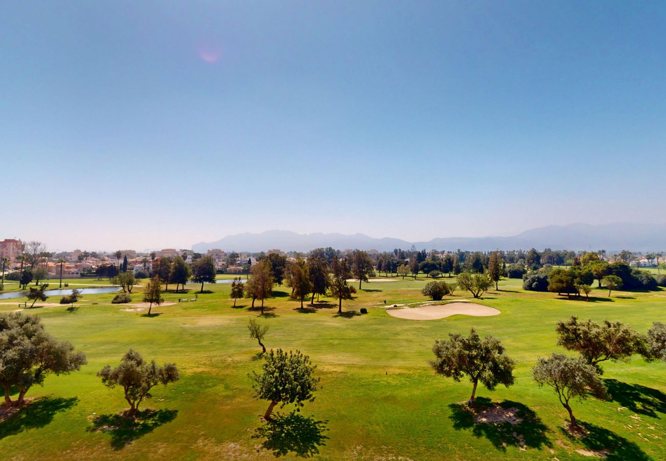 Apartamento en Oliva - Picasso 28 Atico