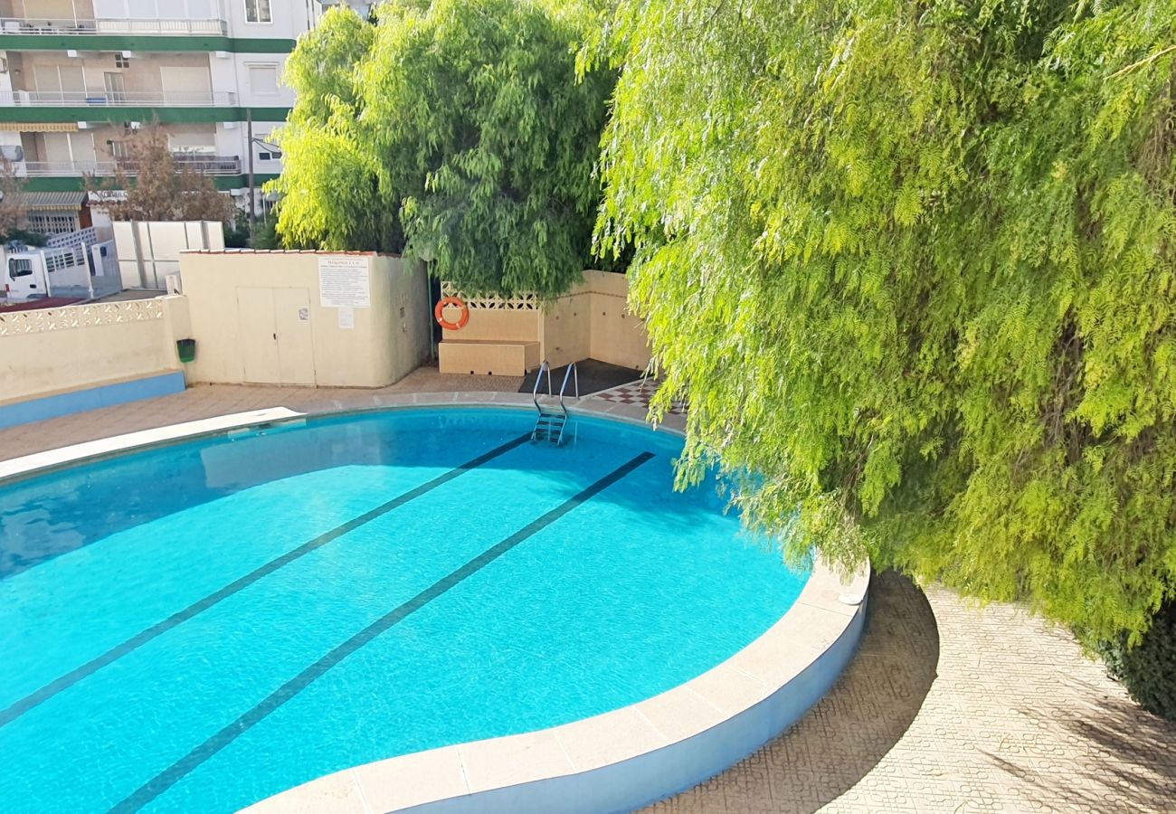 Apartamento en Gandia - MIKONOS I - 2ª - 2º - 4