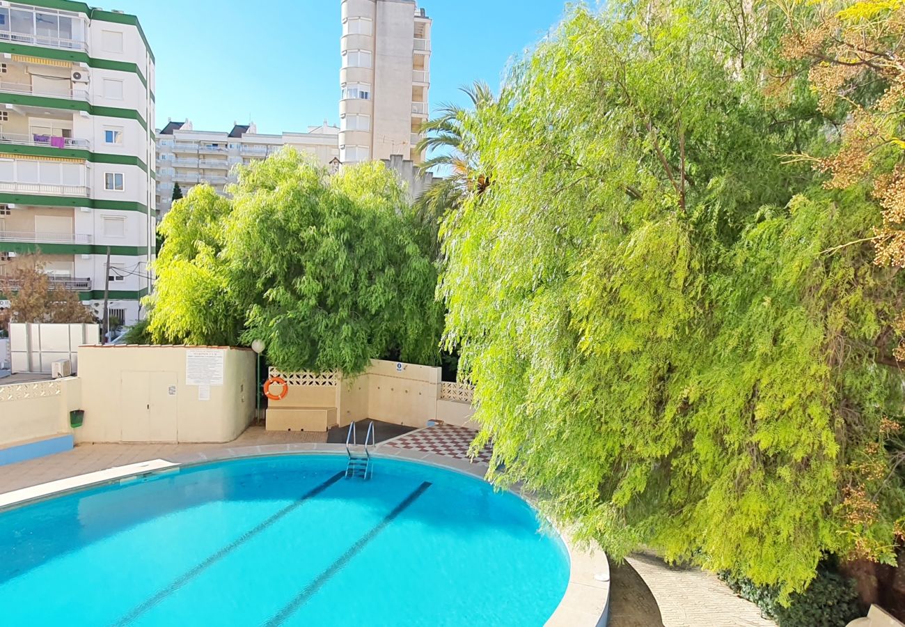 Apartamento en Gandia - MIKONOS I - 2ª - 2º - 4