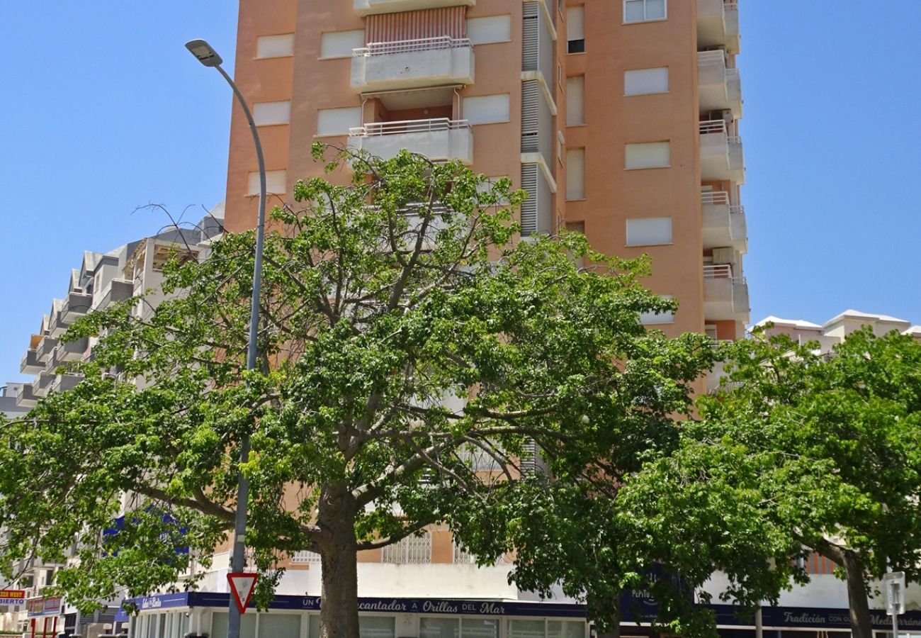 Apartamento en Gandia - MIKONOS VI - 1ª - 1º - 1ª