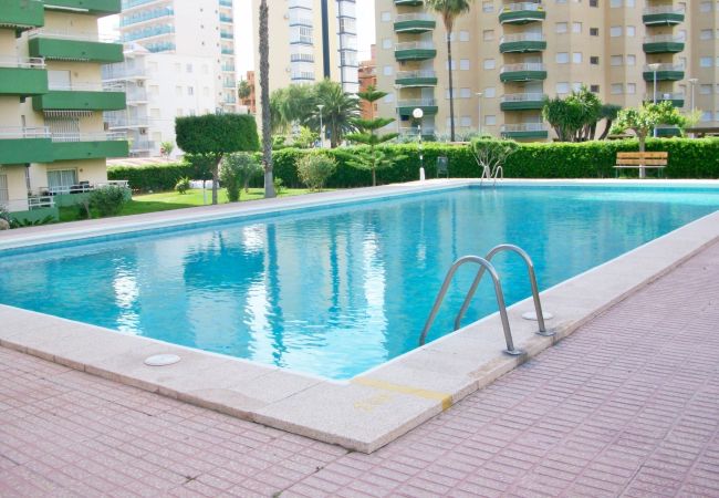 Apartamento en Gandia - OLIMPIA 9º - A
