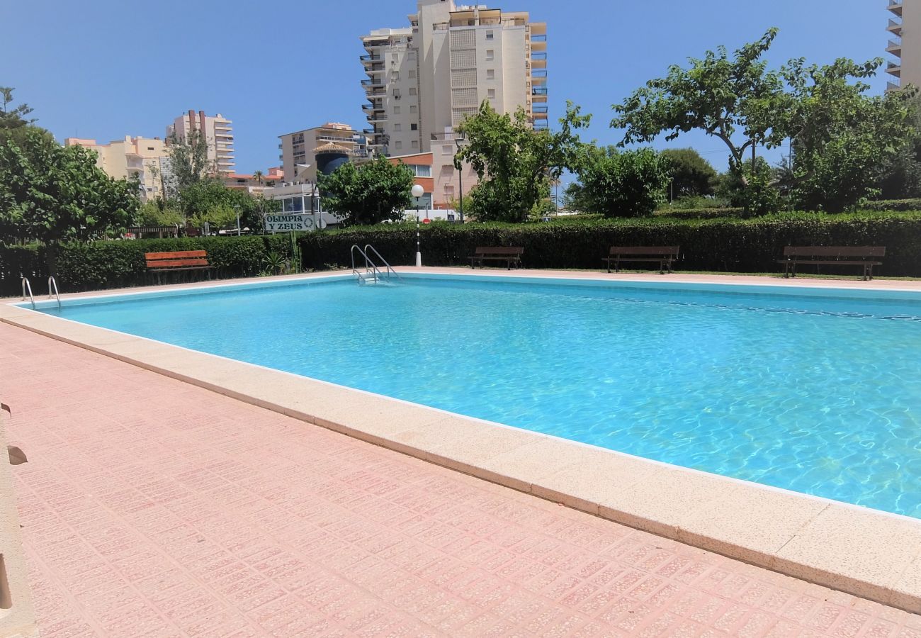 Apartamento en Gandia - OLIMPIA 9º - A