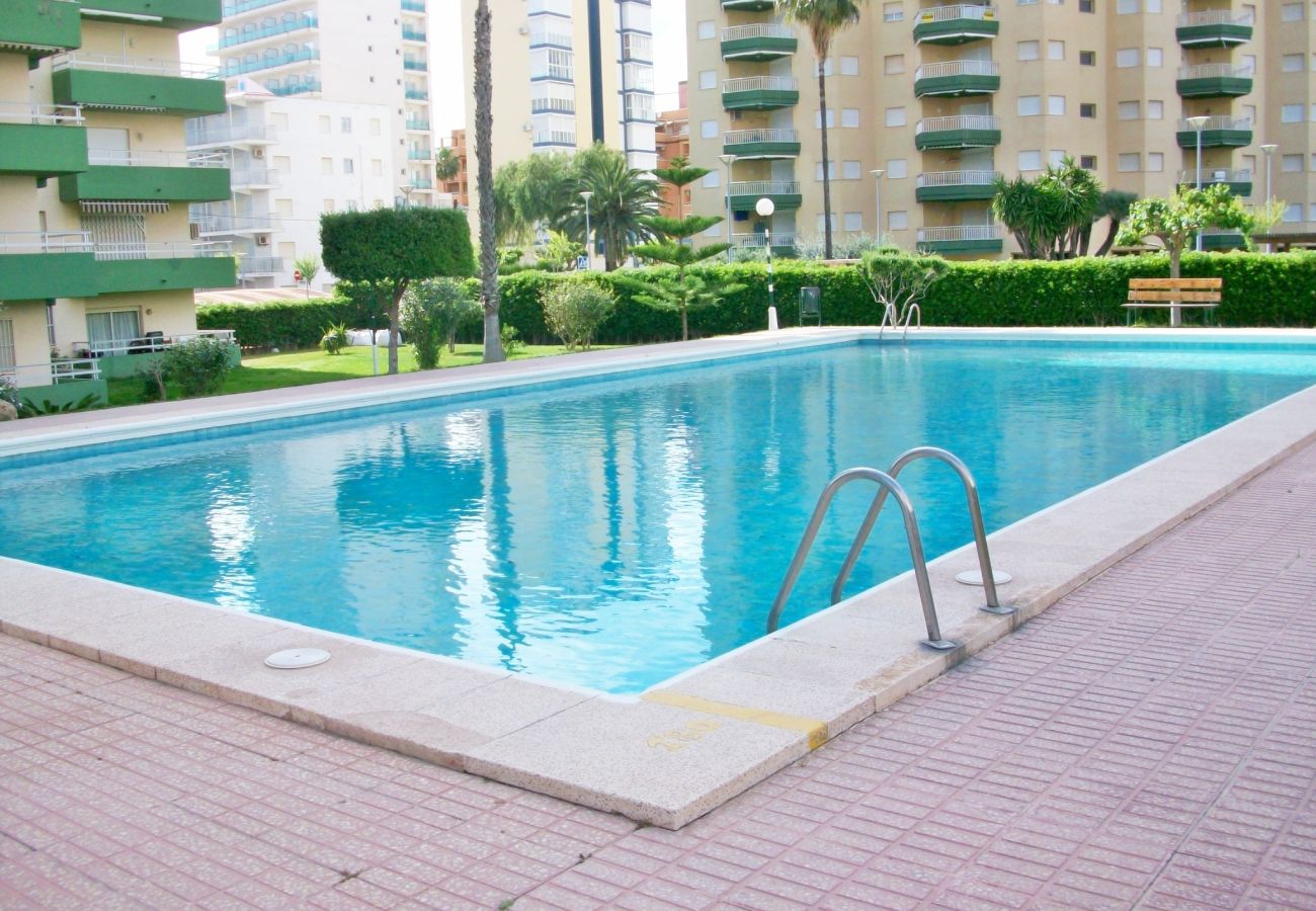 Apartamento en Gandia - OLIMPIA 9º - A