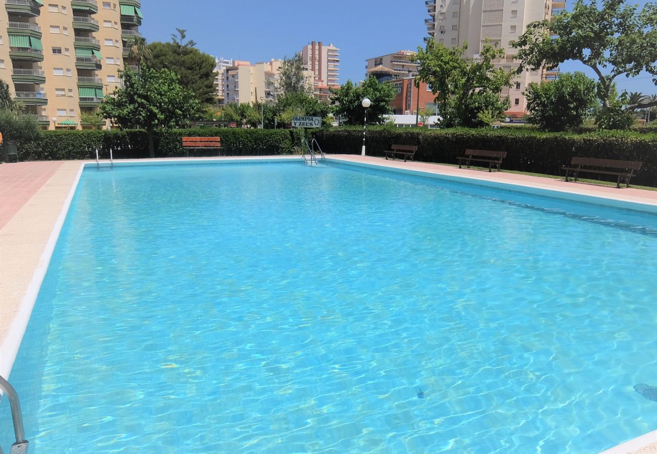 Apartamento en Gandia - OLIMPIA 9º - A