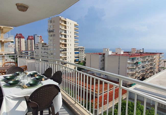Apartamento en Gandia - CONDAL 7º - 21ª