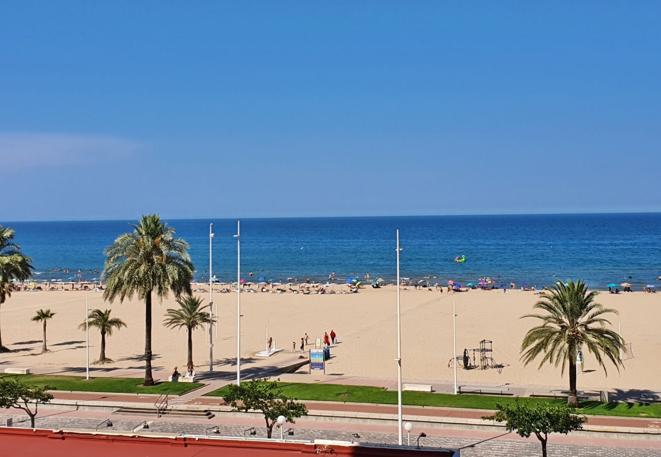 Apartamento en Gandia - DON CHIMO 4º - 23ª