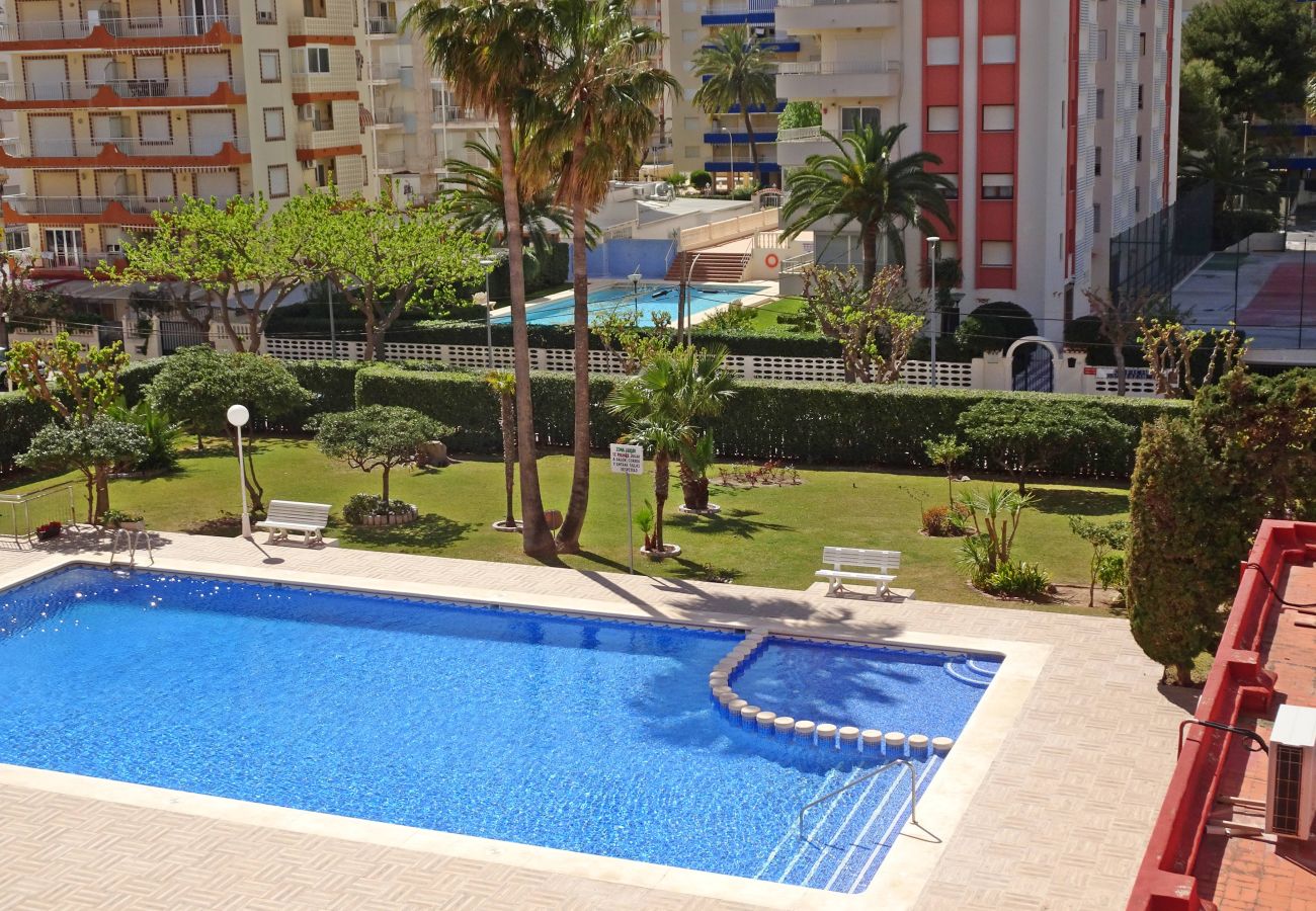 Apartamento en Gandia - DON CHIMO 4º - 23ª