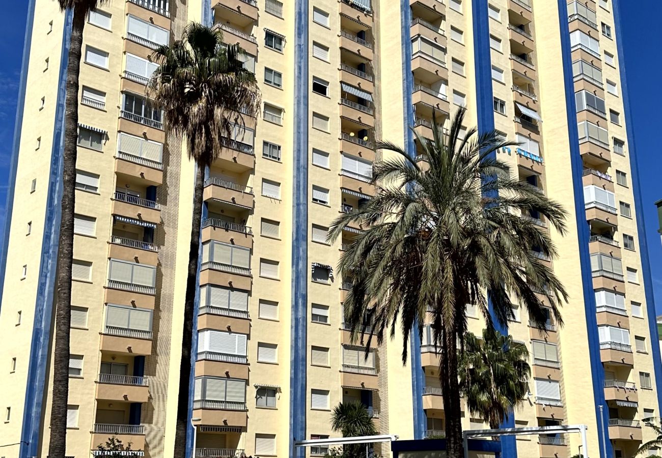 Apartamento en Gandia - GANDIAZAR III  -C - 17º - 33ª