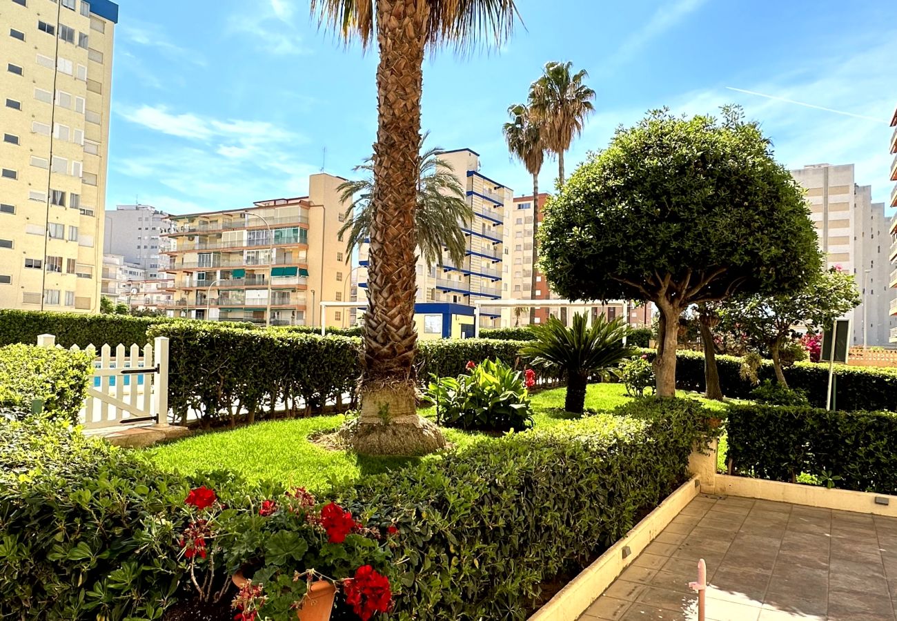 Apartamento en Gandia - GANDIAZAR III  -C - 17º - 33ª