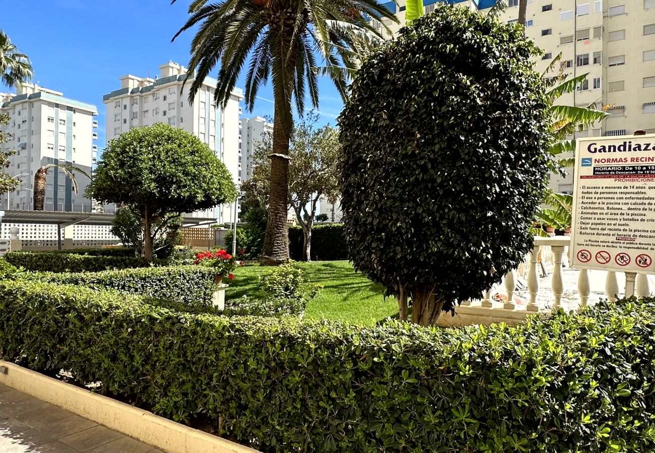 Apartamento en Gandia - GANDIAZAR III  -C - 17º - 33ª