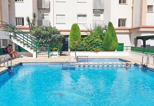 Apartamento en Gandia - JARDIN VII - 1ª - 5º - B