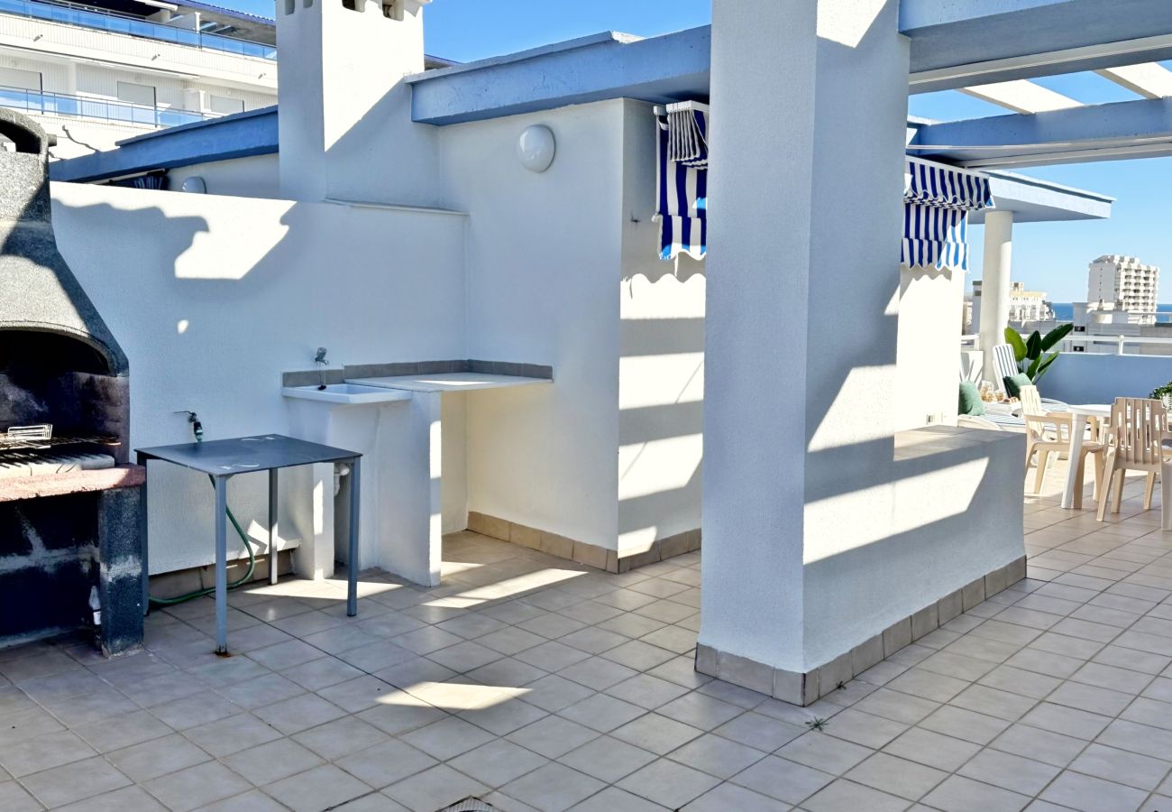 Apartamento en Gandia - PALMERAS III - 2ª - 10º - C