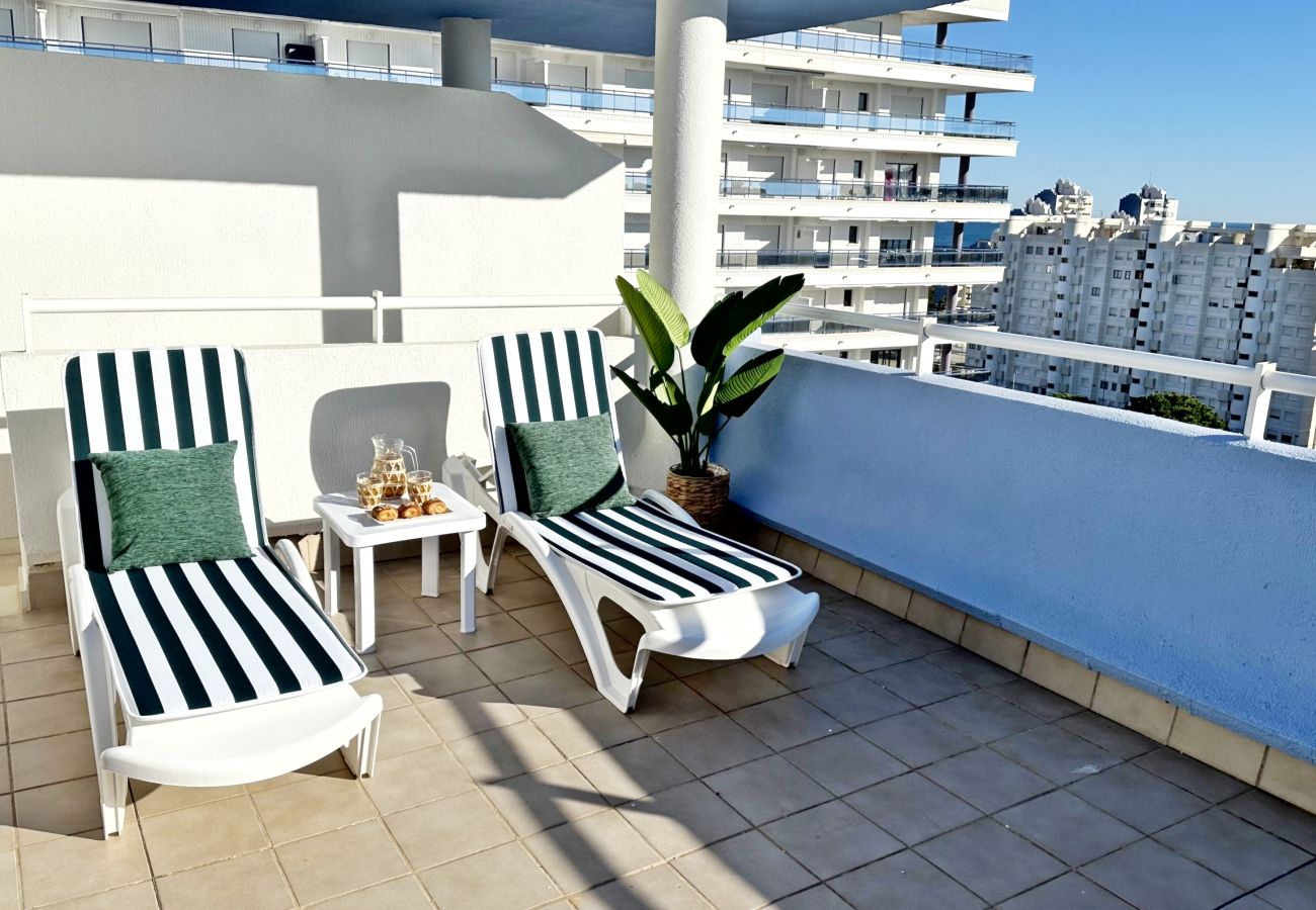 Apartamento en Gandia - PALMERAS III - 2ª - 10º - C