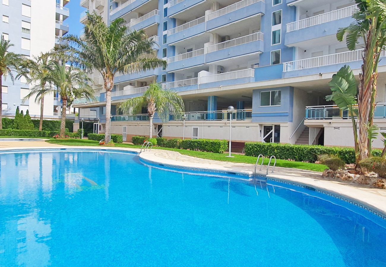 Apartamento en Gandia - PALMERAS III - 2ª - 10º - C