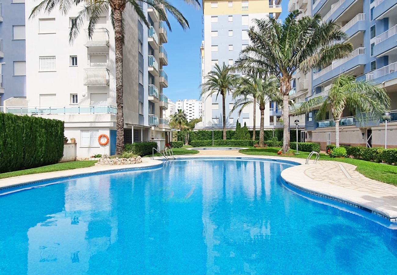 Apartamento en Gandia - PALMERAS III - 2ª - 10º - C