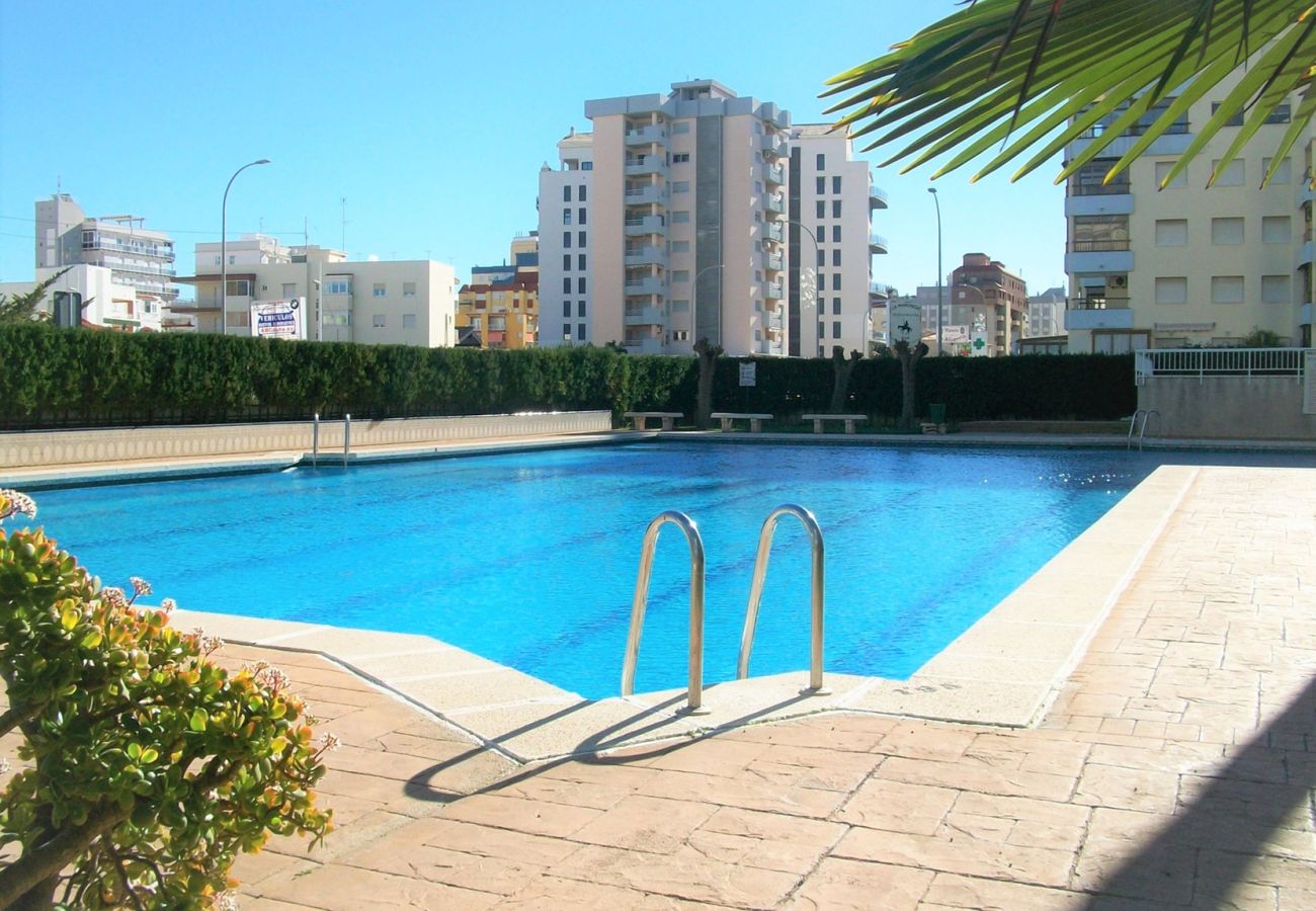 Apartamento en Gandia - PARQUE 8 - 3ª - 4º - 8ª