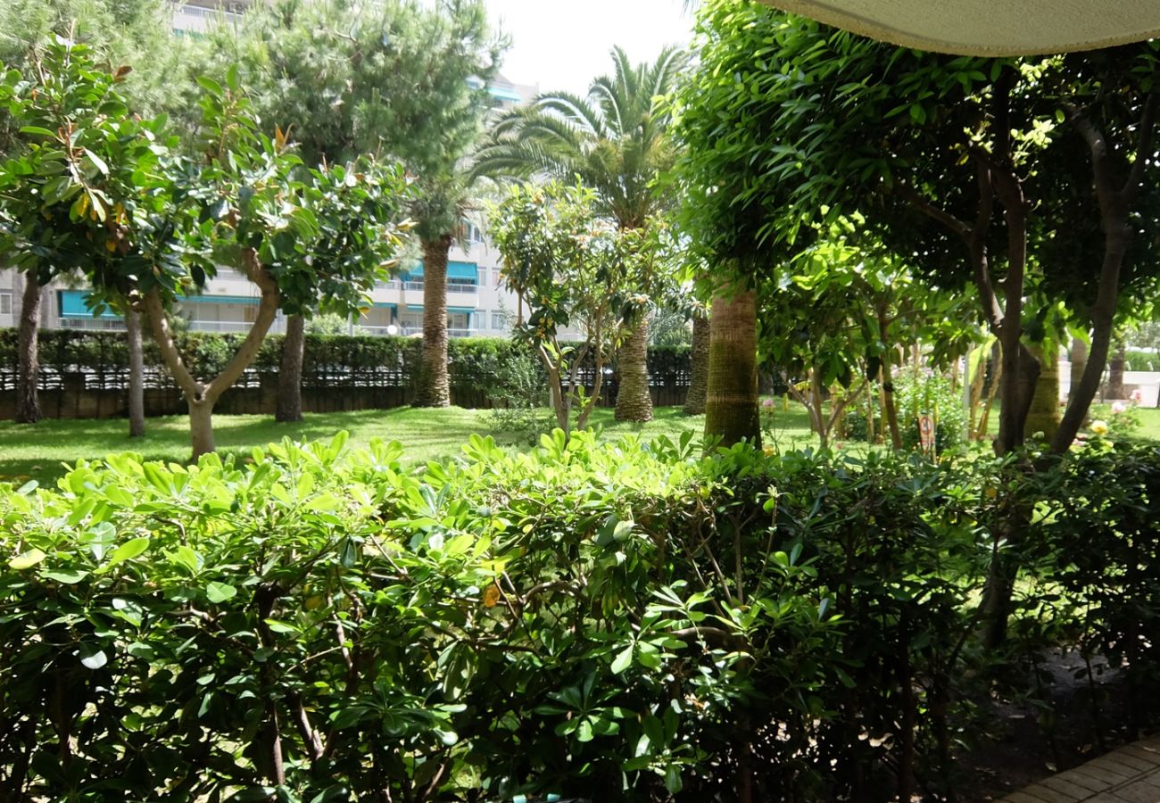 Apartamento en Gandia - PARQUE 8 - 3ª - 4º - 8ª