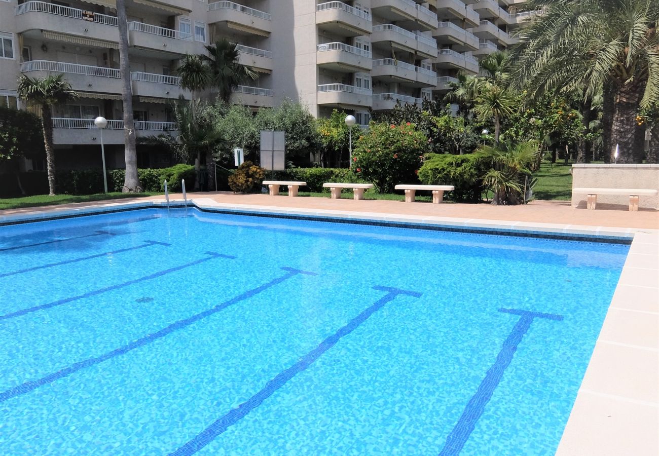 Apartamento en Gandia - PARQUE 8 - 3ª - 4º - 8ª