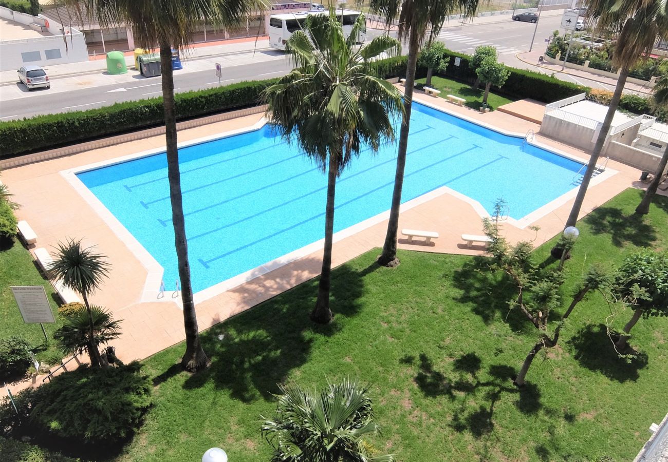Apartamento en Gandia - PARQUE 8 - 3ª - 4º - 8ª