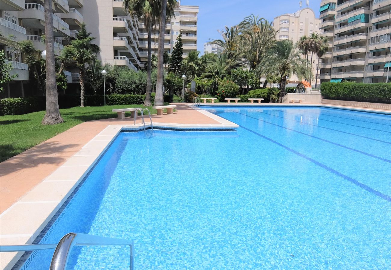 Apartamento en Gandia - PARQUE 8 - 3ª - 4º - 8ª
