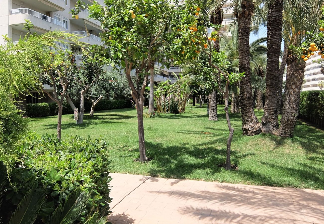 Apartamento en Gandia - PARQUE 8 - 9ª - 2º - 4ª