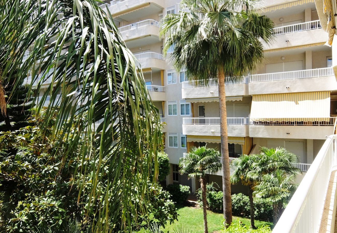Apartamento en Gandia - PARQUE 8 - 9ª - 2º - 4ª