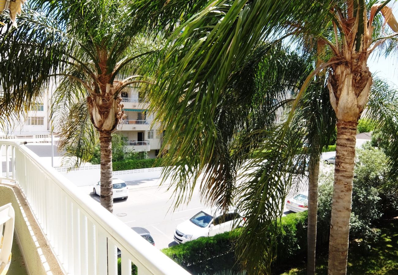 Apartamento en Gandia - PARQUE 8 - 9ª - 2º - 4ª