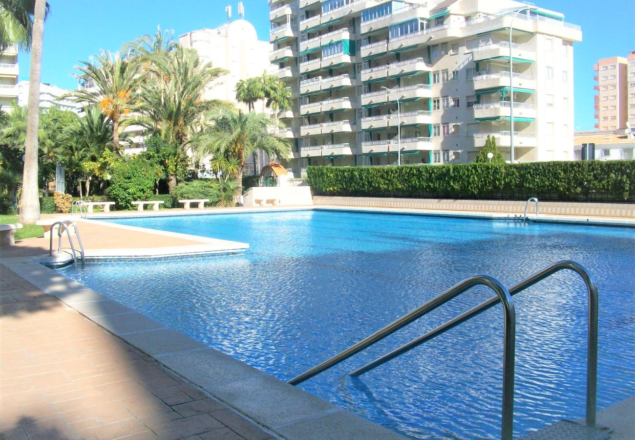 Apartamento en Gandia - PARQUE 8 - 9ª - 2º - 4ª