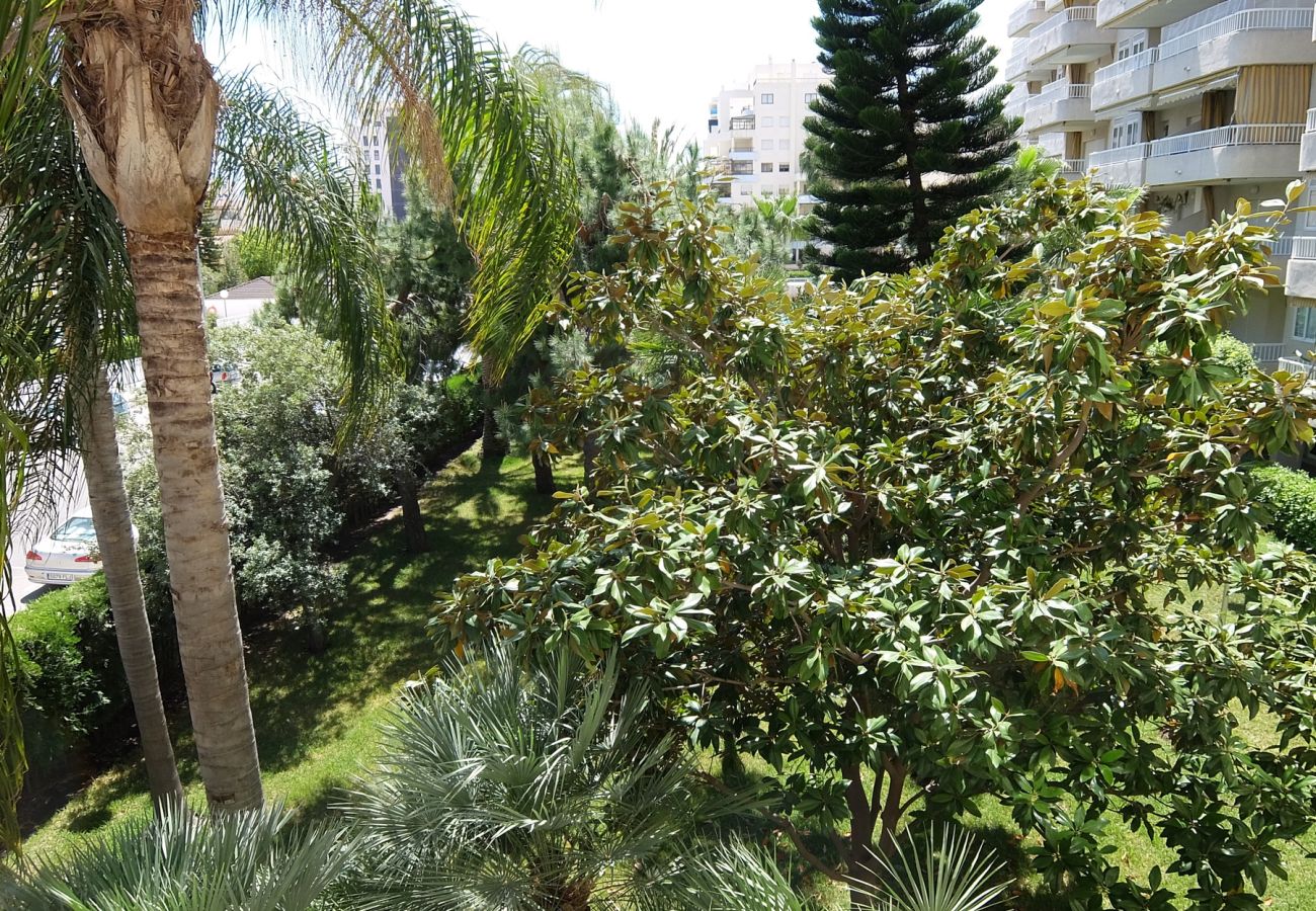 Apartamento en Gandia - PARQUE 8 - 9ª - 2º - 4ª