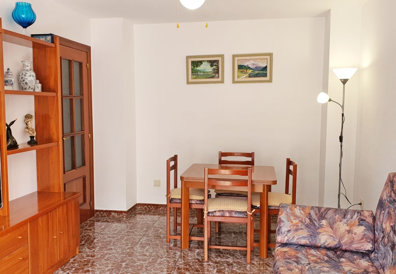 Apartamento en Gandia - AYALA  4º - 17