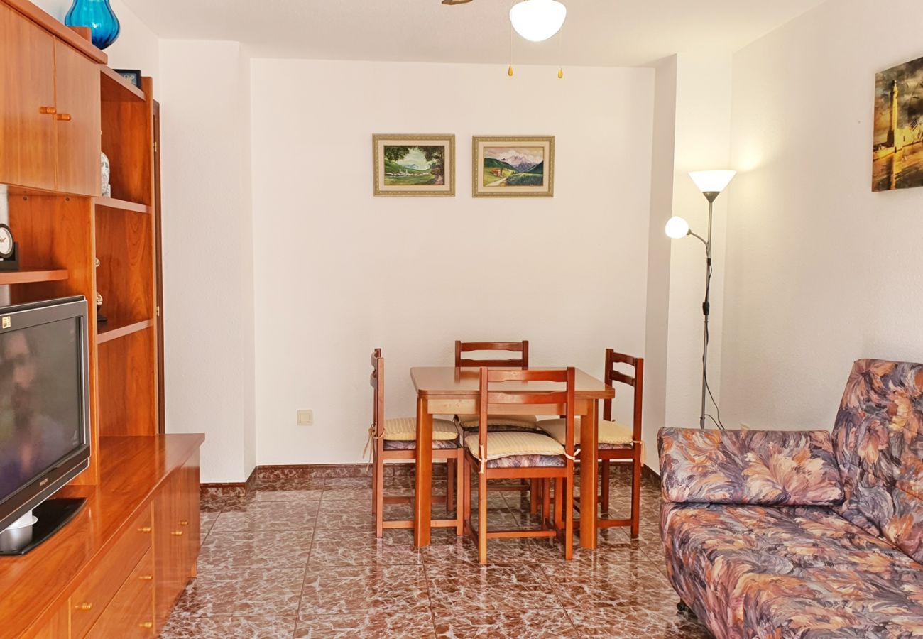 Apartamento en Gandia - AYALA  4º - 17