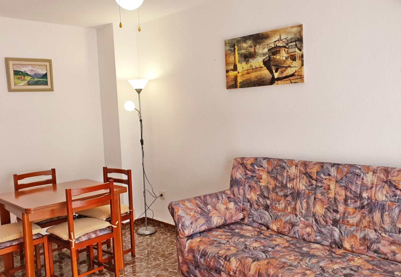 Apartamento en Gandia - AYALA  4º - 17