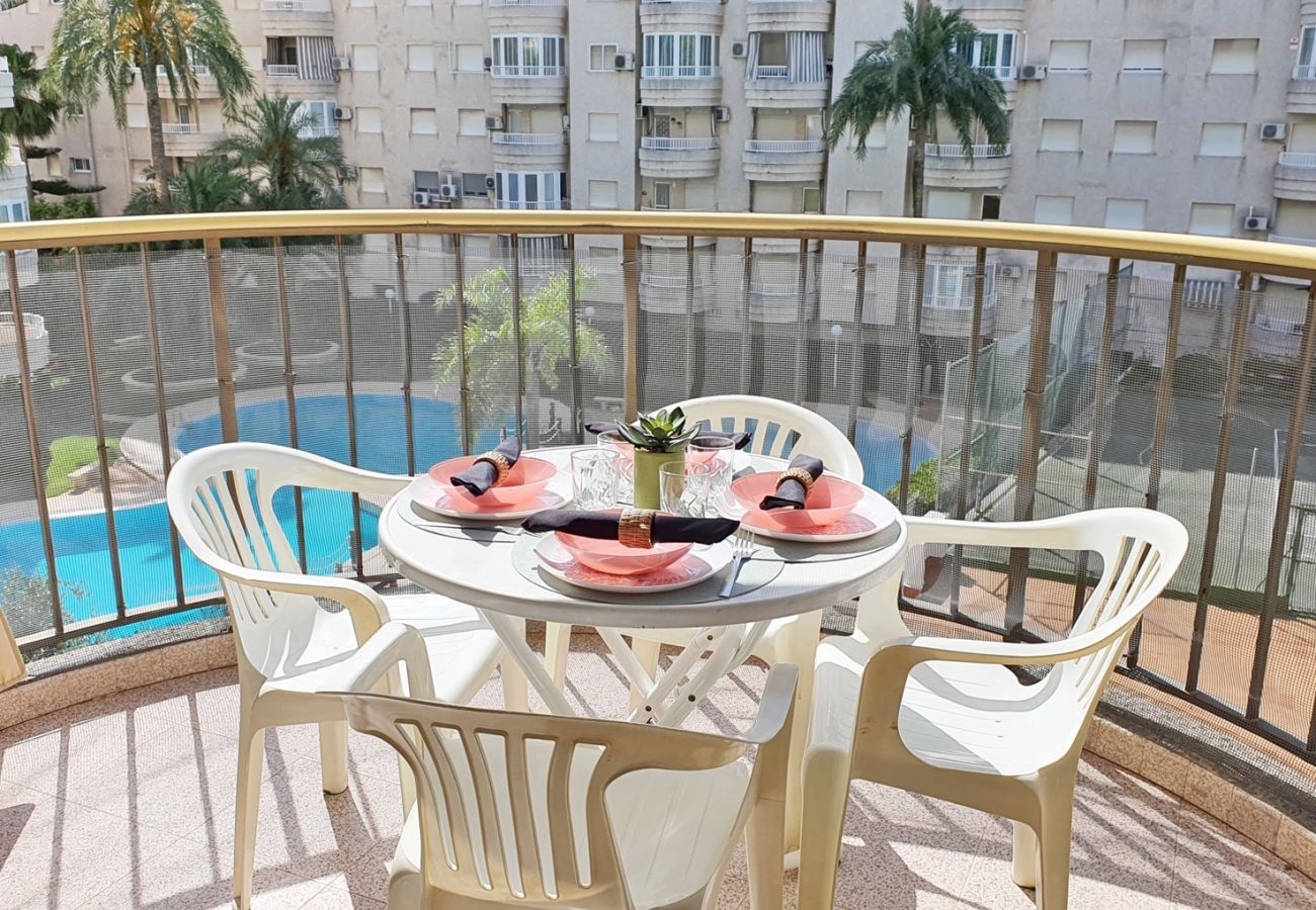 Apartamento en Gandia - AYALA  4º - 17