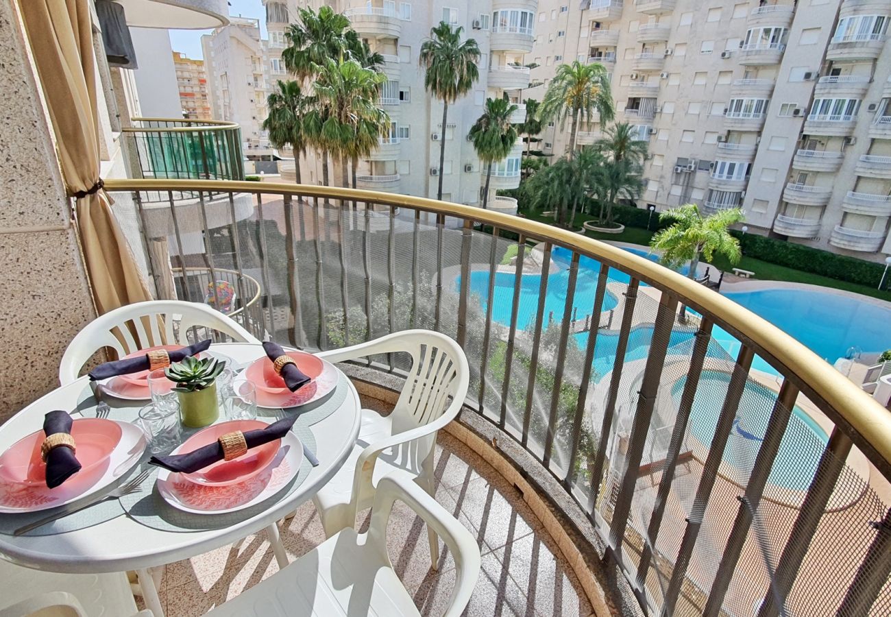 Apartamento en Gandia - AYALA  4º - 17