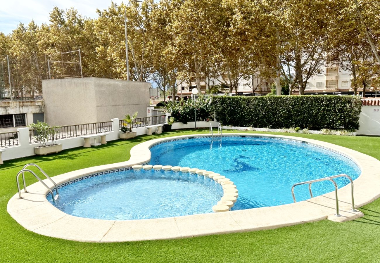 Apartamento en Gandia - AYALA  4º - 17
