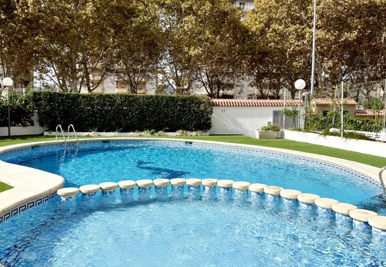 Apartamento en Gandia - AYALA  4º - 17