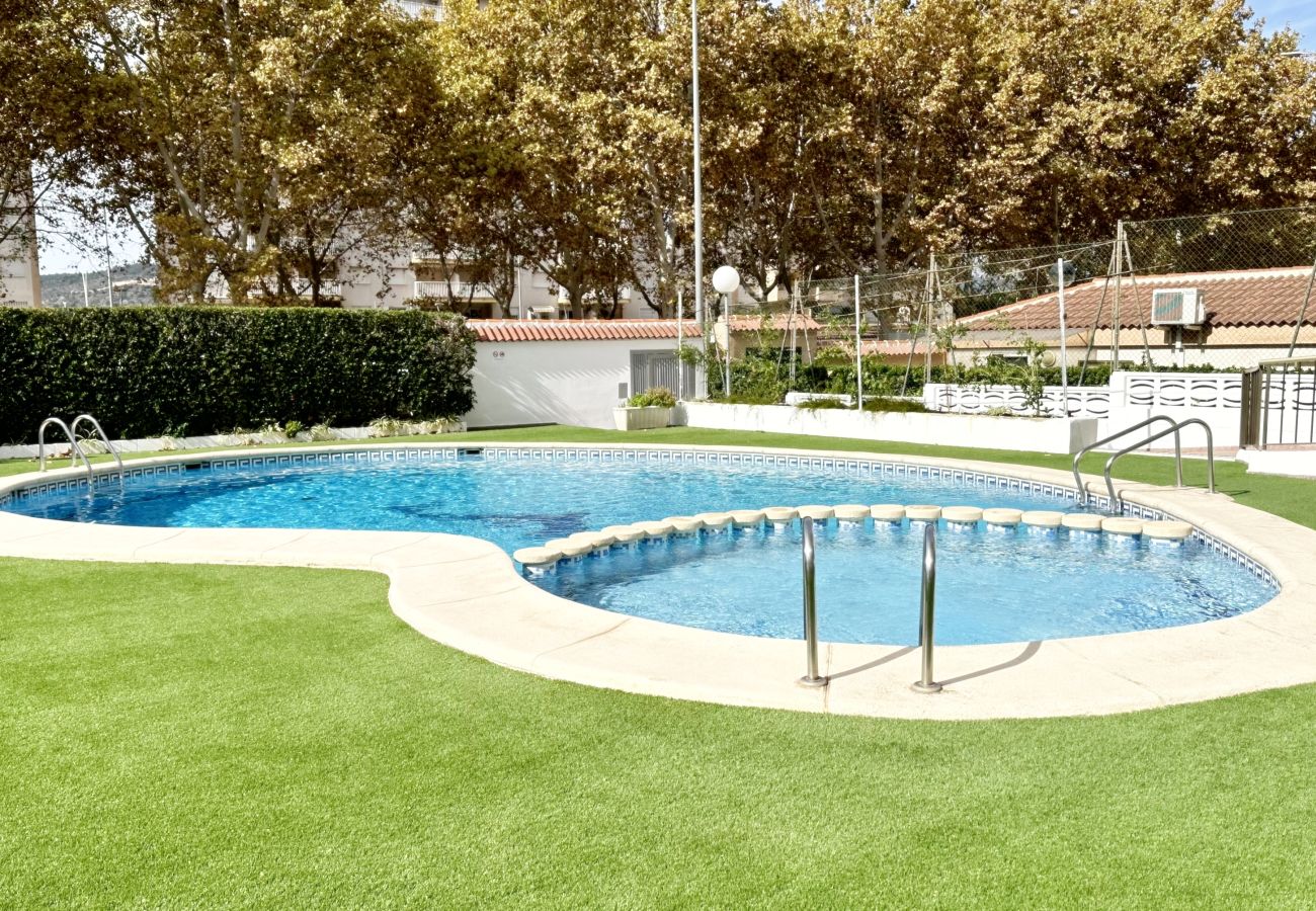 Apartamento en Gandia - AYALA  4º - 17