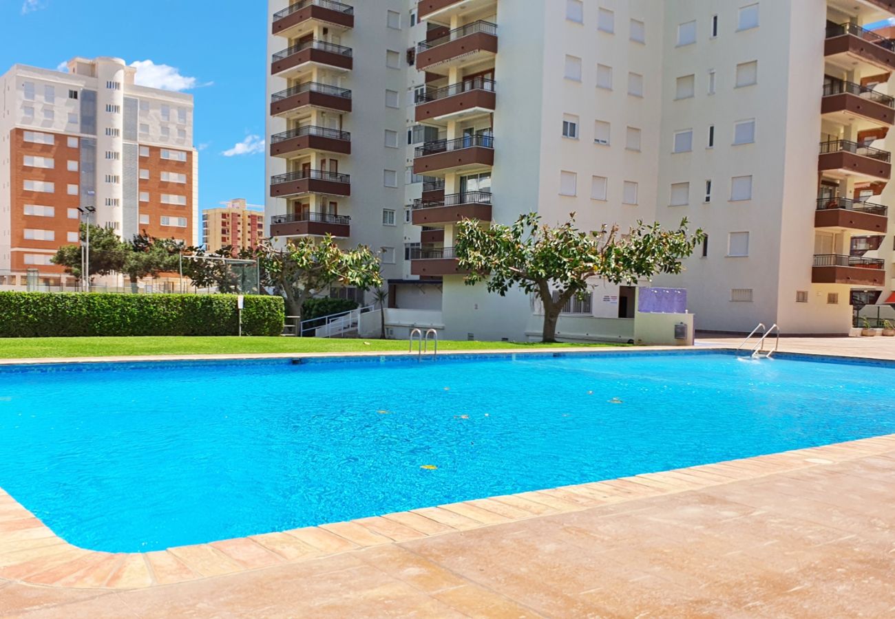Apartamento en Gandia - GEMINIS B - 3ª - 4º - D
