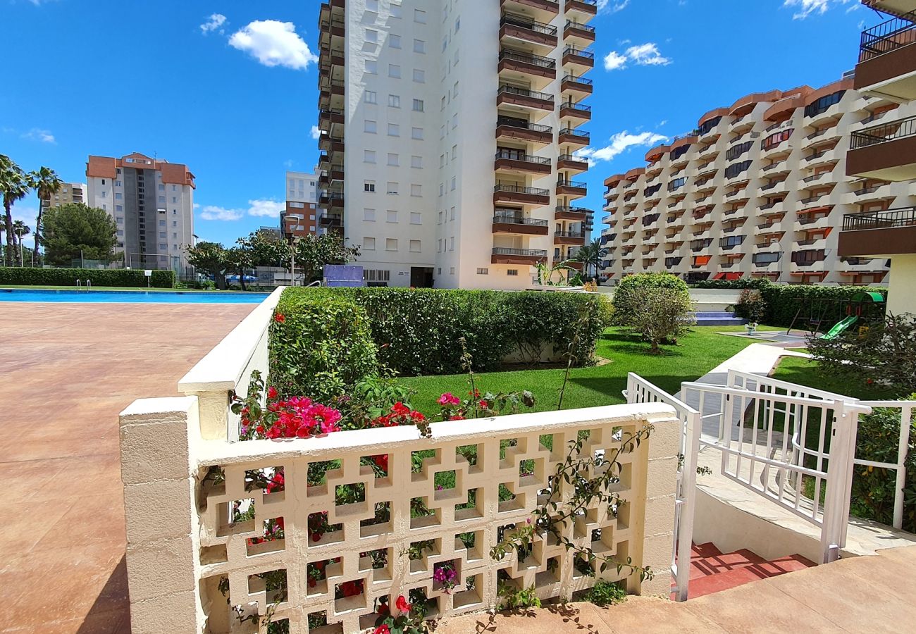 Apartamento en Gandia - GEMINIS B - 3ª - 4º - D