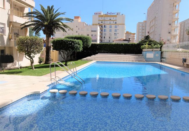 Apartamento en Gandia - GOLETA IV - 3ª - 3º - DCHA