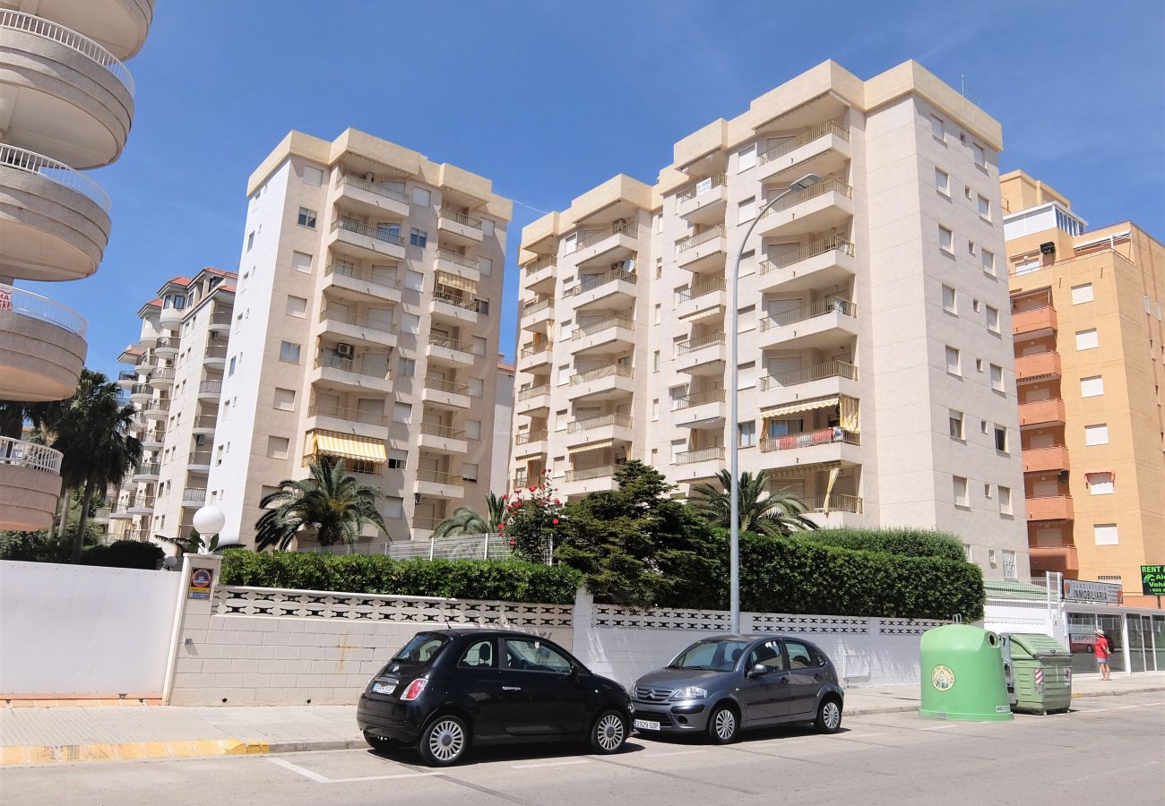 Apartamento en Gandia - GOLETA IV - 3ª - 3º - DCHA