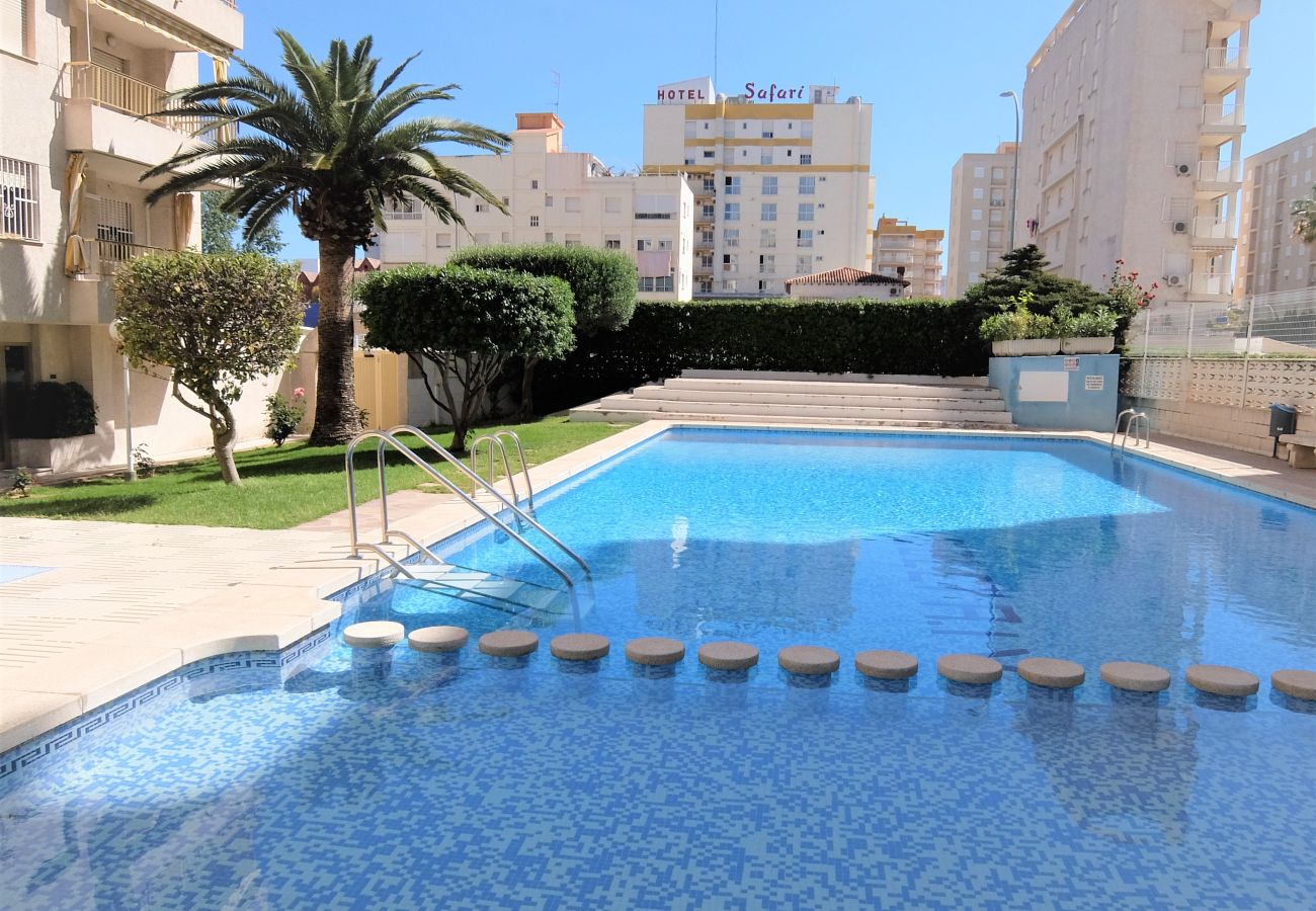 Apartamento en Gandia - GOLETA IV - 3ª - 3º - DCHA