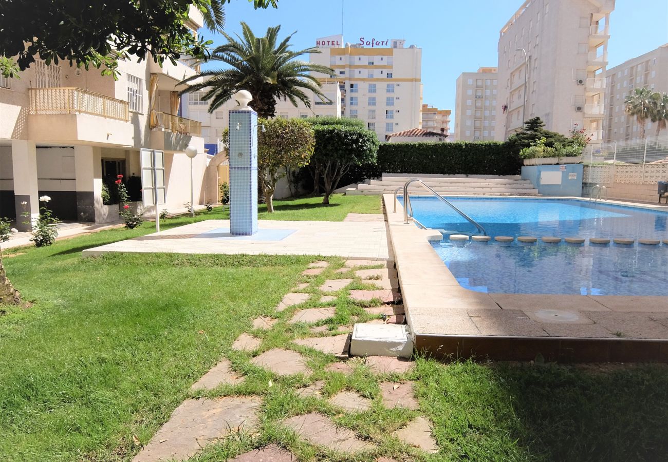 Apartamento en Gandia - GOLETA IV - 3ª - 3º - DCHA