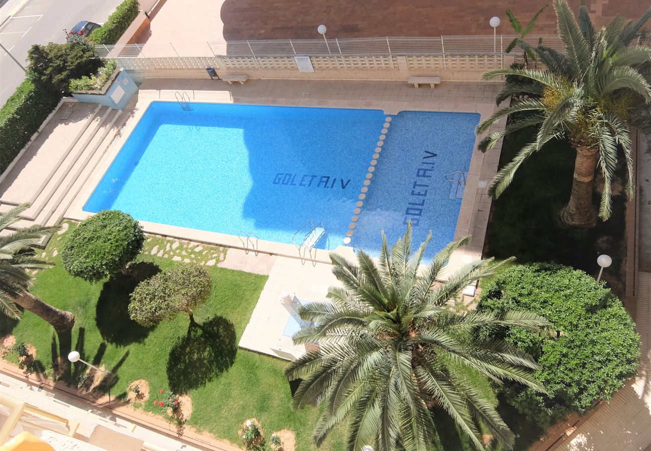 Apartamento en Gandia - GOLETA IV - 3ª - 3º - DCHA
