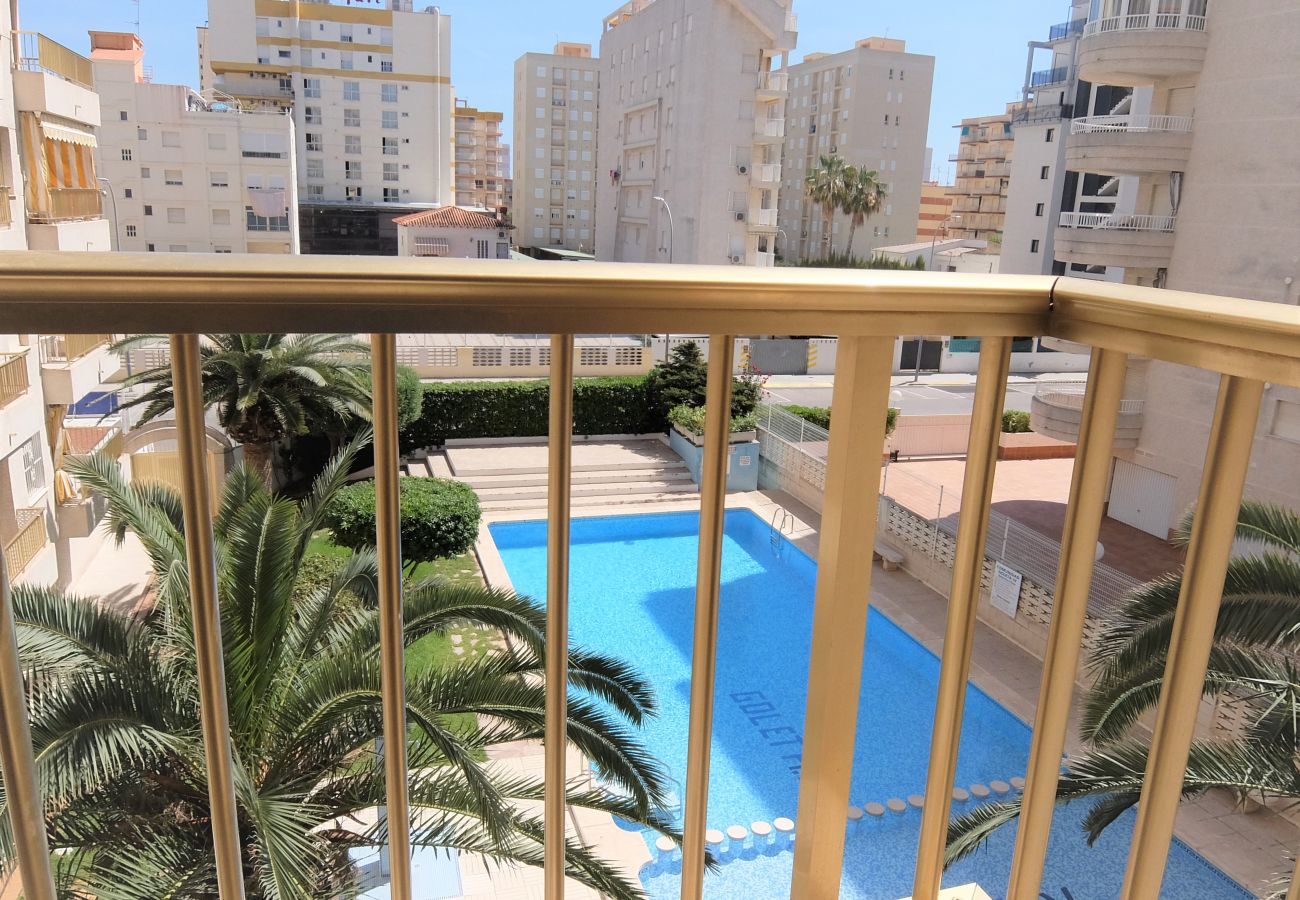 Apartamento en Gandia - GOLETA IV - 3ª - 3º - DCHA