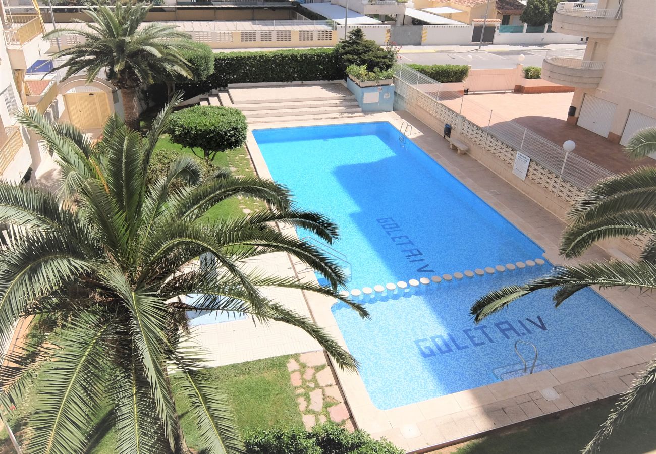 Apartamento en Gandia - GOLETA IV - 3ª - 3º - DCHA
