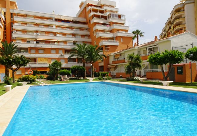Apartamento en Gandia - PLAY GANDI 1ª - 4º - 8